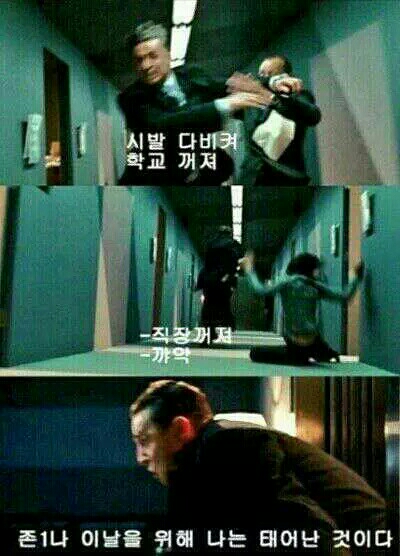 필요없음 진격 전진 학교 다비켜