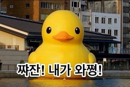 오리 대형 러버덕 석촌호수