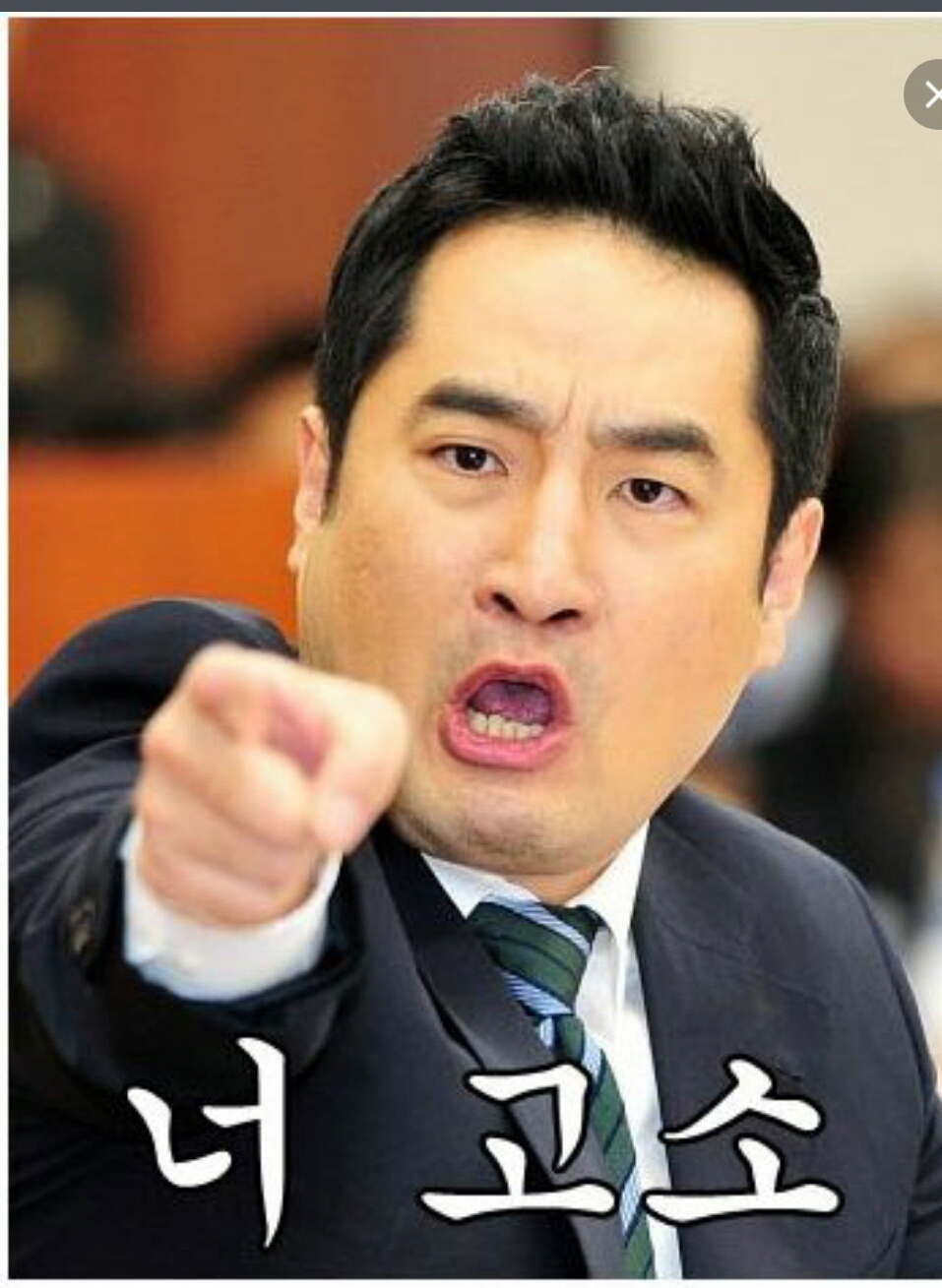 너 고소 강용석 너 고소