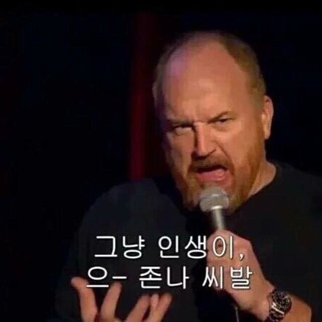 인생 씨발 시발 개같다 좆같다 루이스