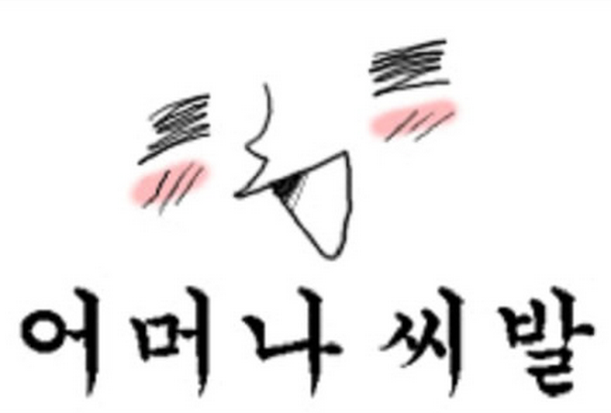 어머나씨발 고전짤 어머나 욕짤