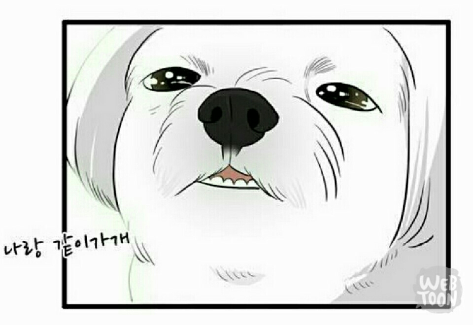 여행 같이 나랑 같이가