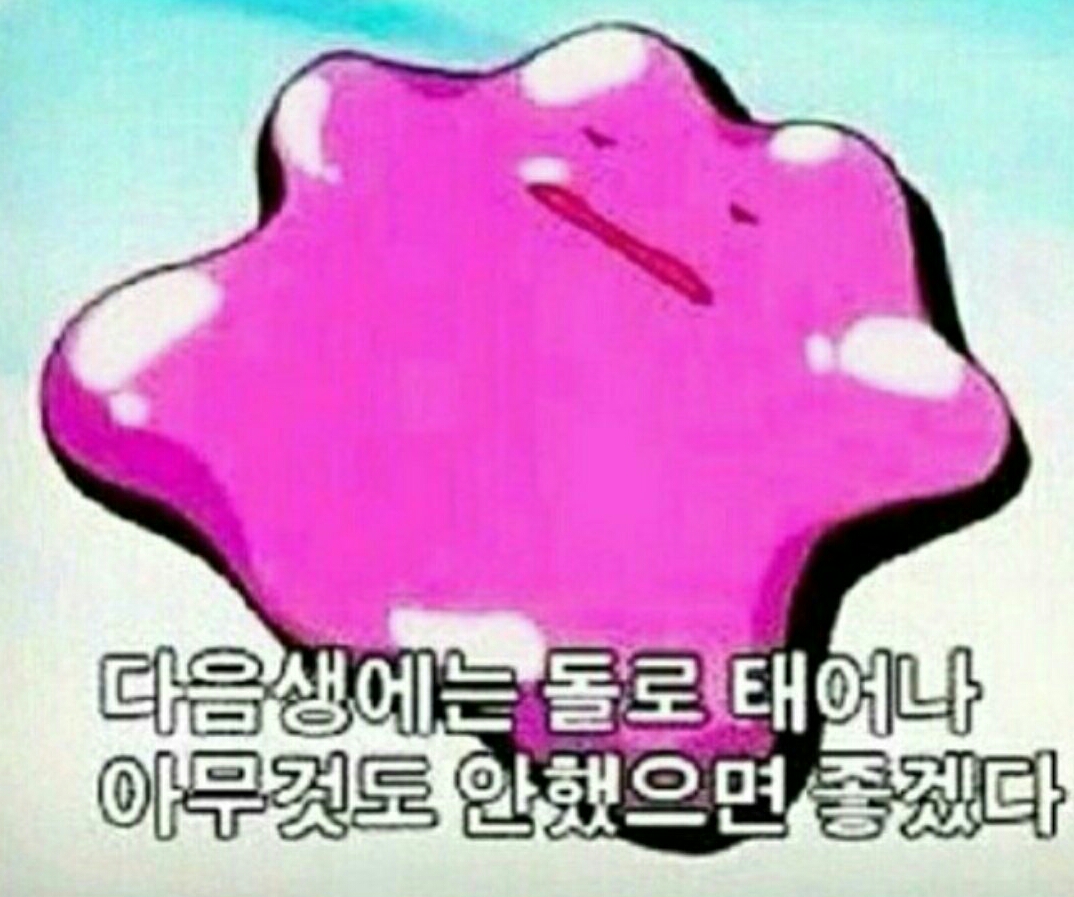 돌 다음생 귀찮아 귀찮음
