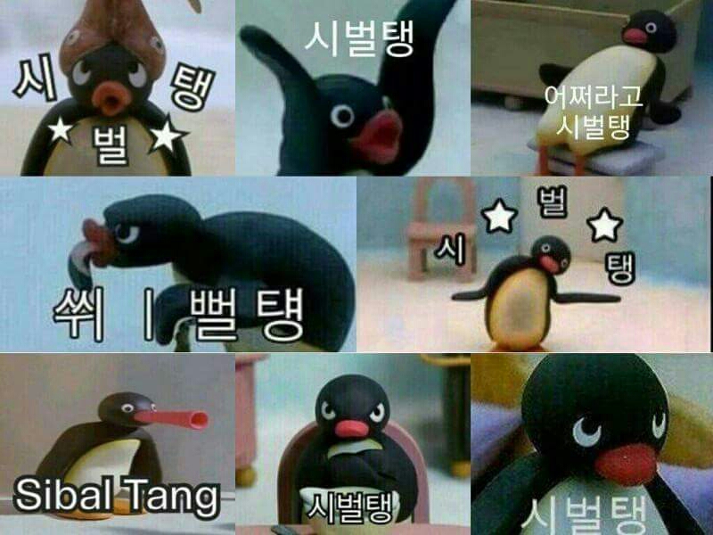 시벌탱 욕 분노