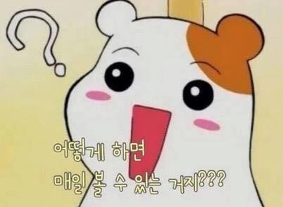 에비츄 햄토리 어떻게 하면 매일 볼 수 있는 거지