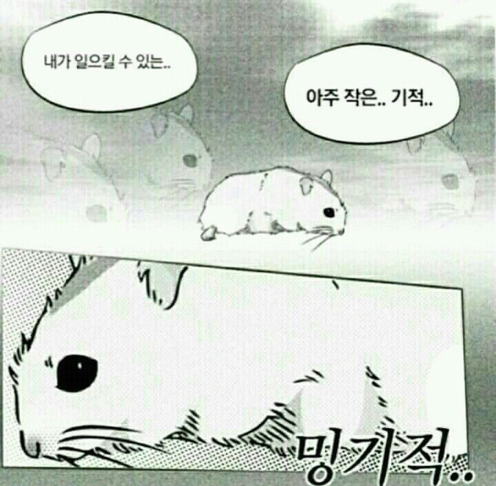 밍기적 귀찮 잉여