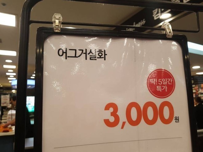어그거실화 #실화