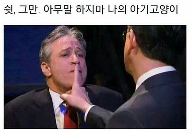 쉿 그만 아무말하지마 나의 아기고양이 웃긴짤