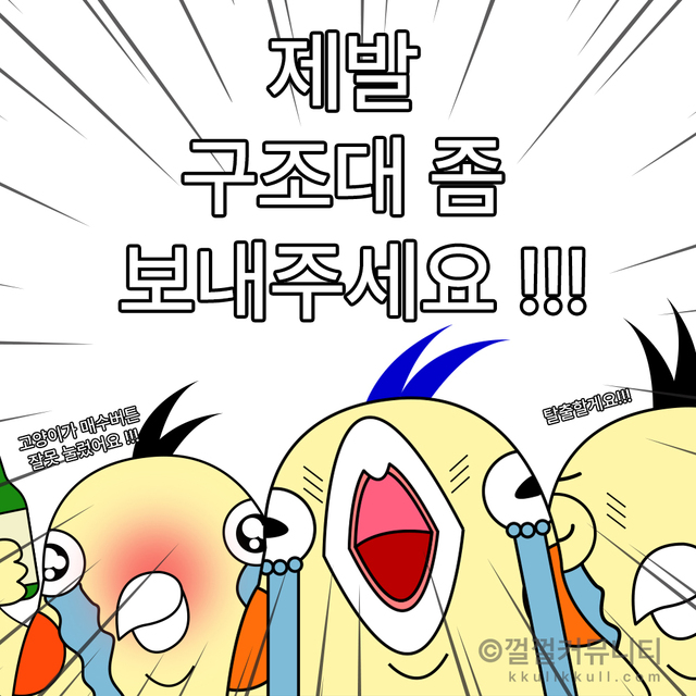 껄무새 껄껄 비트코인 껄껄커뮤니티 암호화폐 코인짤 살껄팔껄 주식짤 탈출 손절 제발 구조대좀 보내주세요 고양이가 매수버튼 잘못 눌렀어요 구조대 보내주세요!!