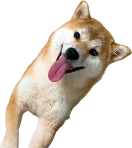 hPZIjRyTZ.jpeg