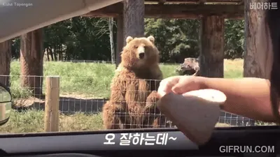 안녕하세요.