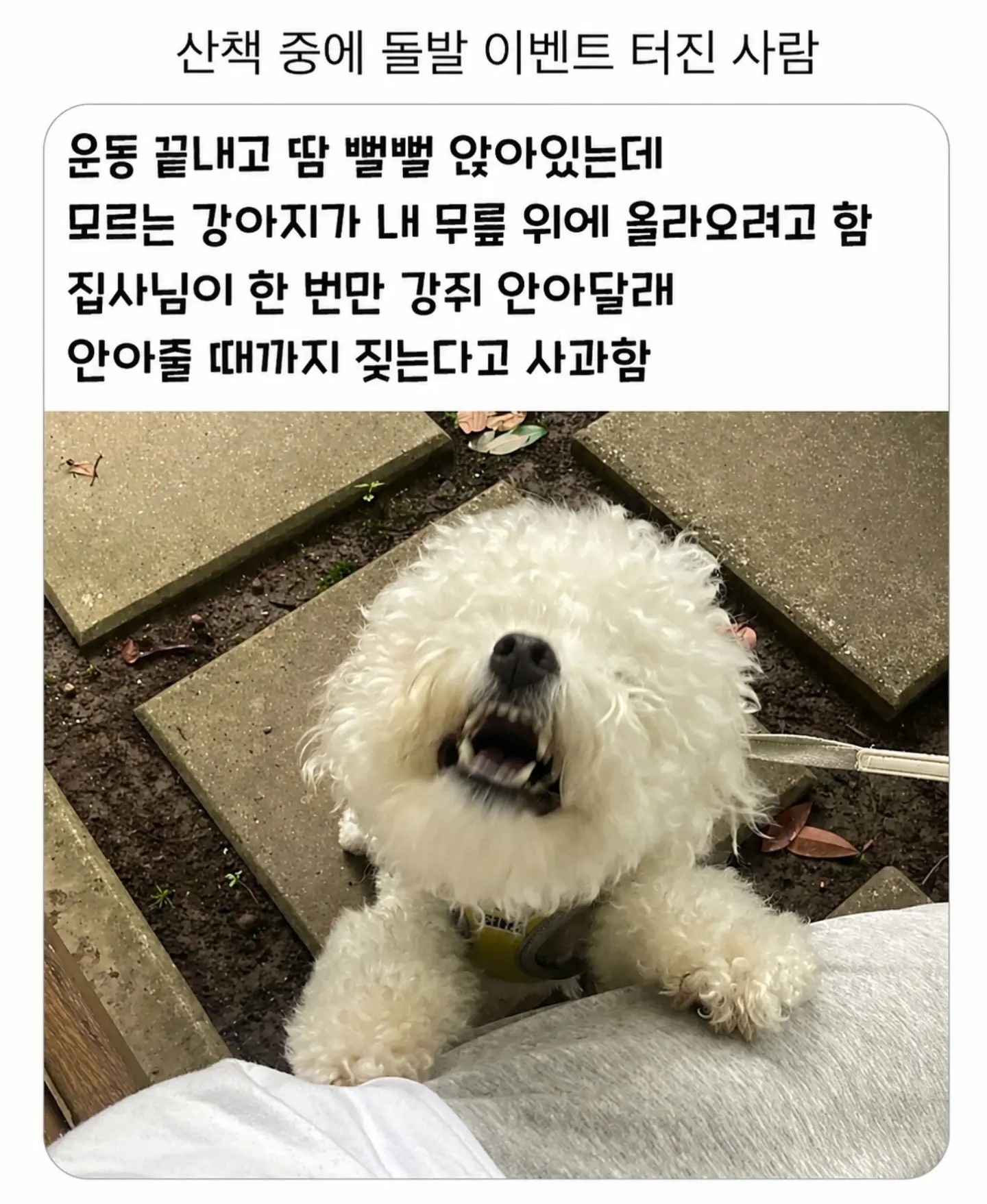 산책중 돌발이벤트 터진 사람