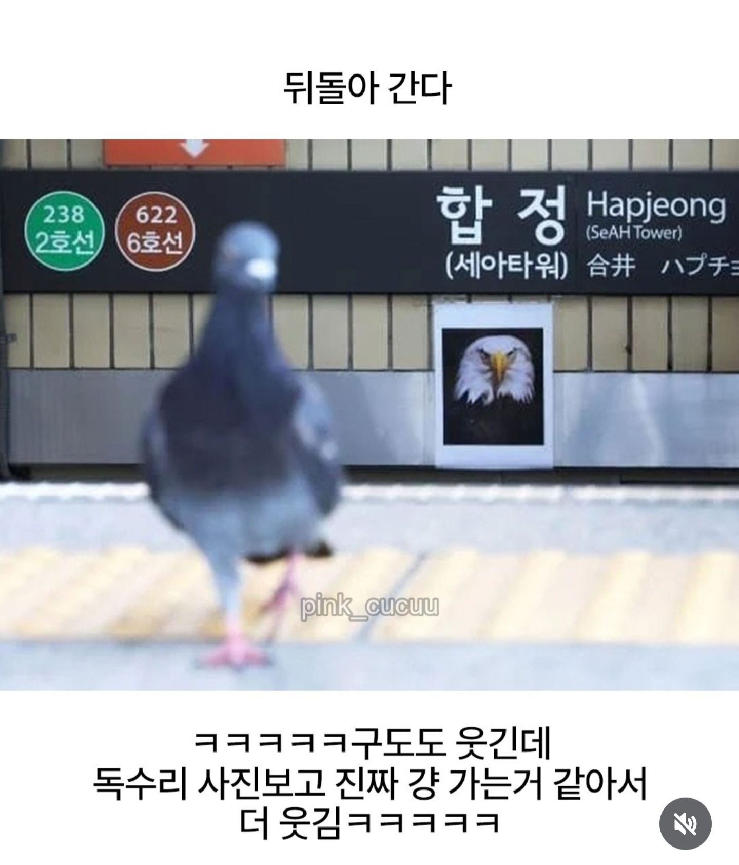합정역 독수리 사진