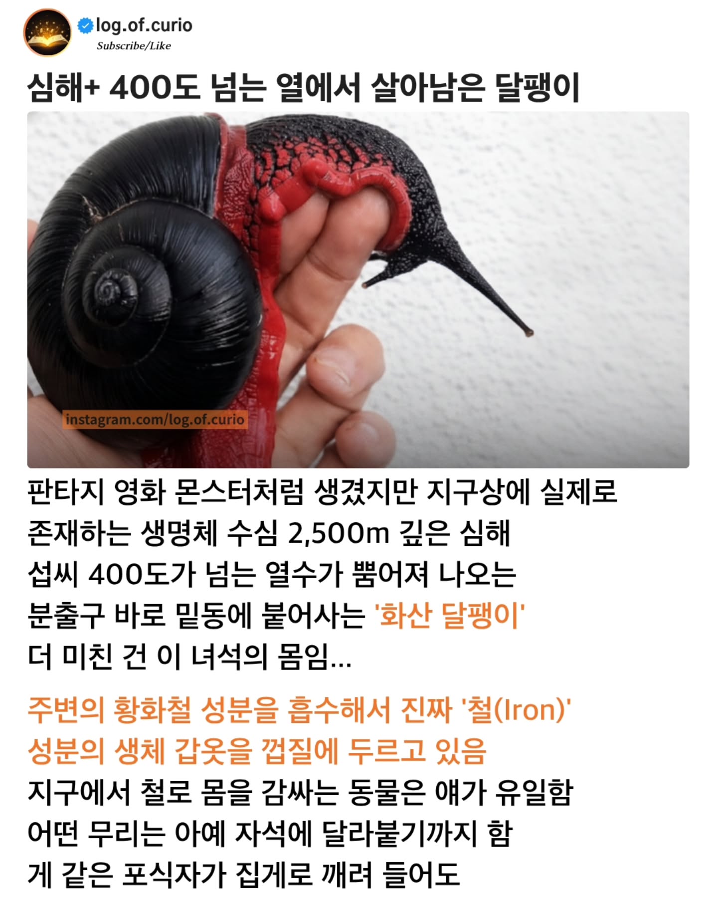 경이로운 자연) 현실판 메탈슬러그.jpg