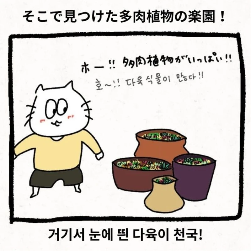 한국 시댁에 와서 이것저것 가져가는 며느리