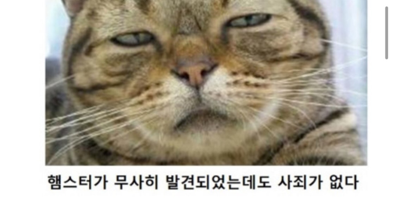 동물버전 제목학원 다시보기