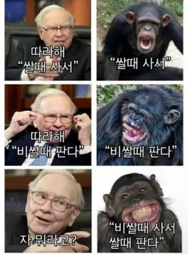 주식 커뮤에서 하나 배운 거 있음
