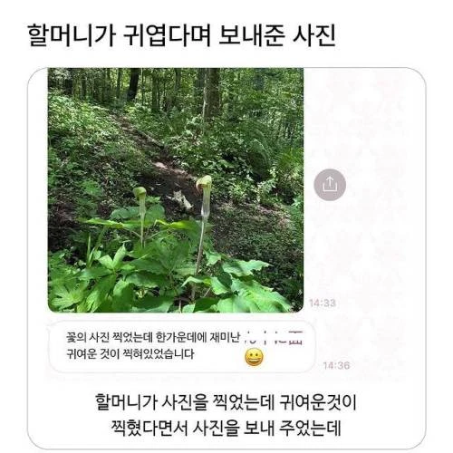 할머니가 귀엽다며 보내준 사진.jpg