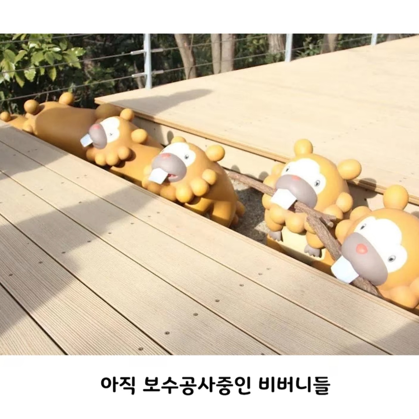 컨셉 확실한 일본 포켓몬 파크