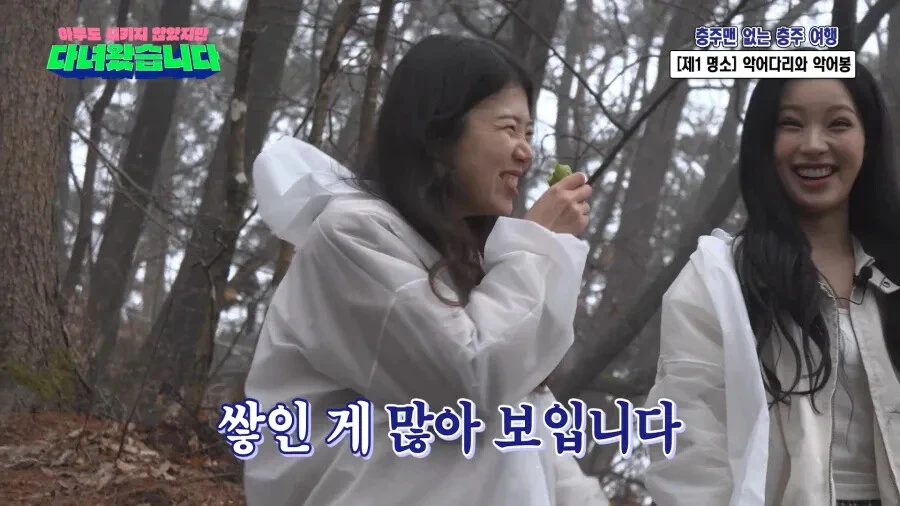 김선태 내 인생 책임져
