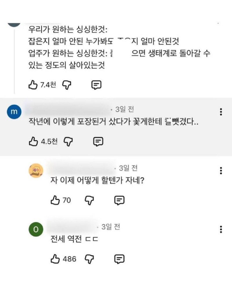 꽃게 사는 사람들의 일관적인 진술