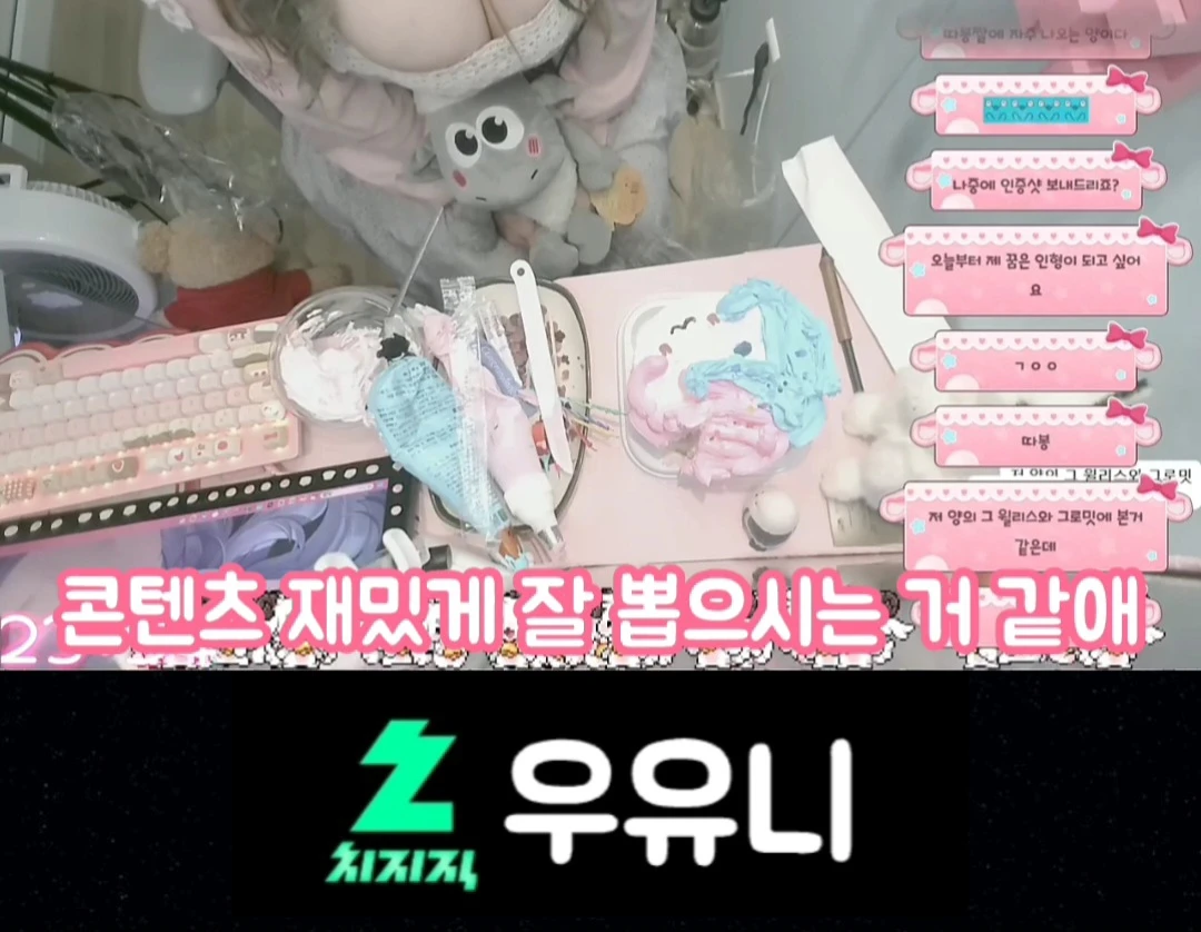 방송 중 웃대 언급했다는 여성 방송인