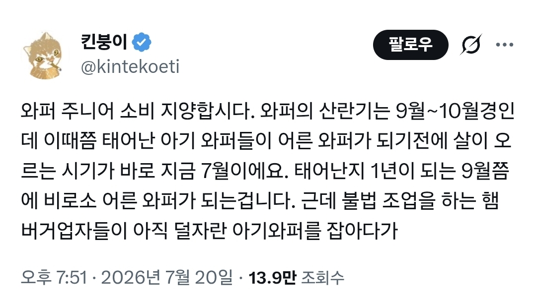 ??? : 와퍼 주니어 소비 지양합시다.