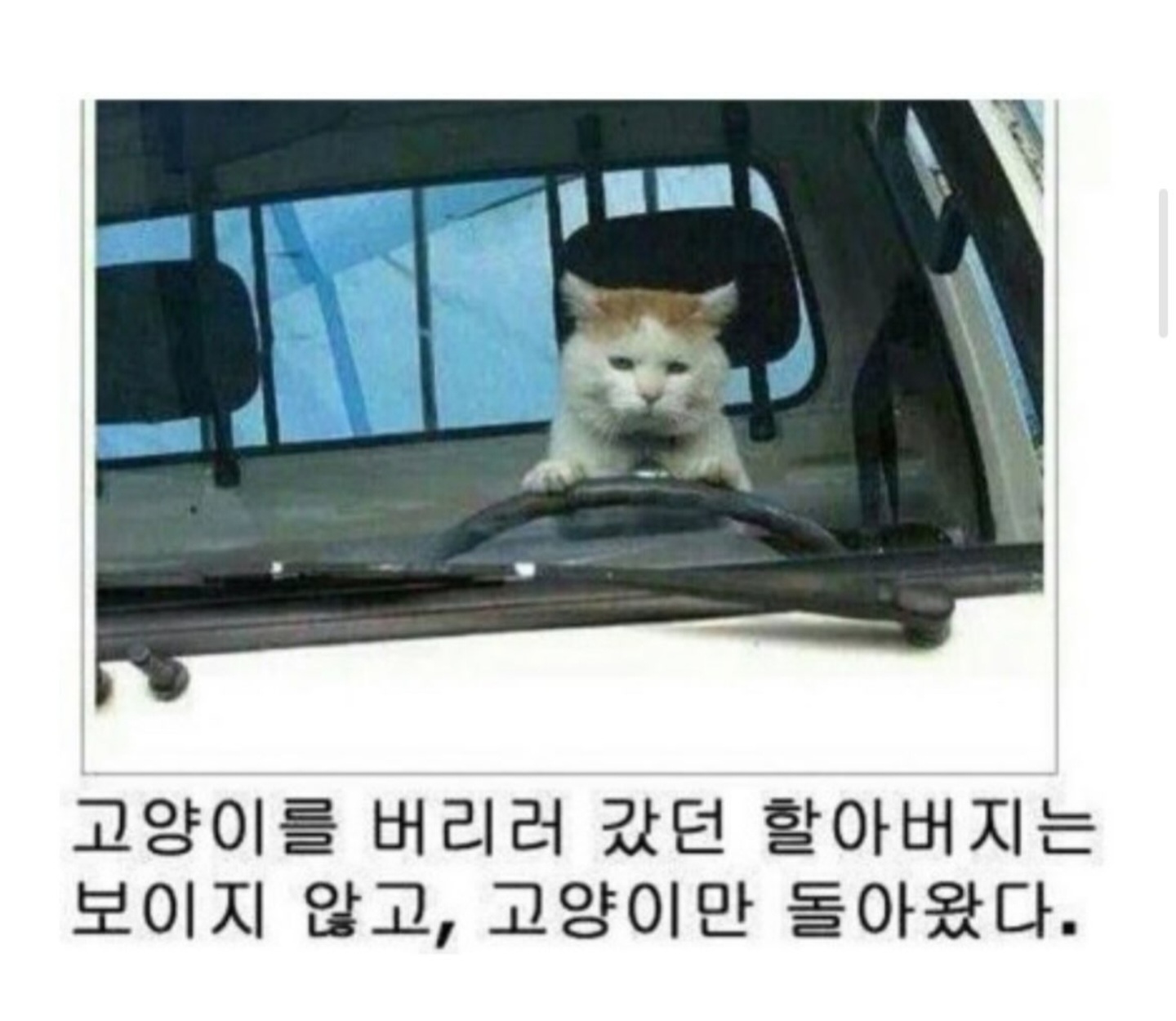 동물버전 제목학원 다시보기