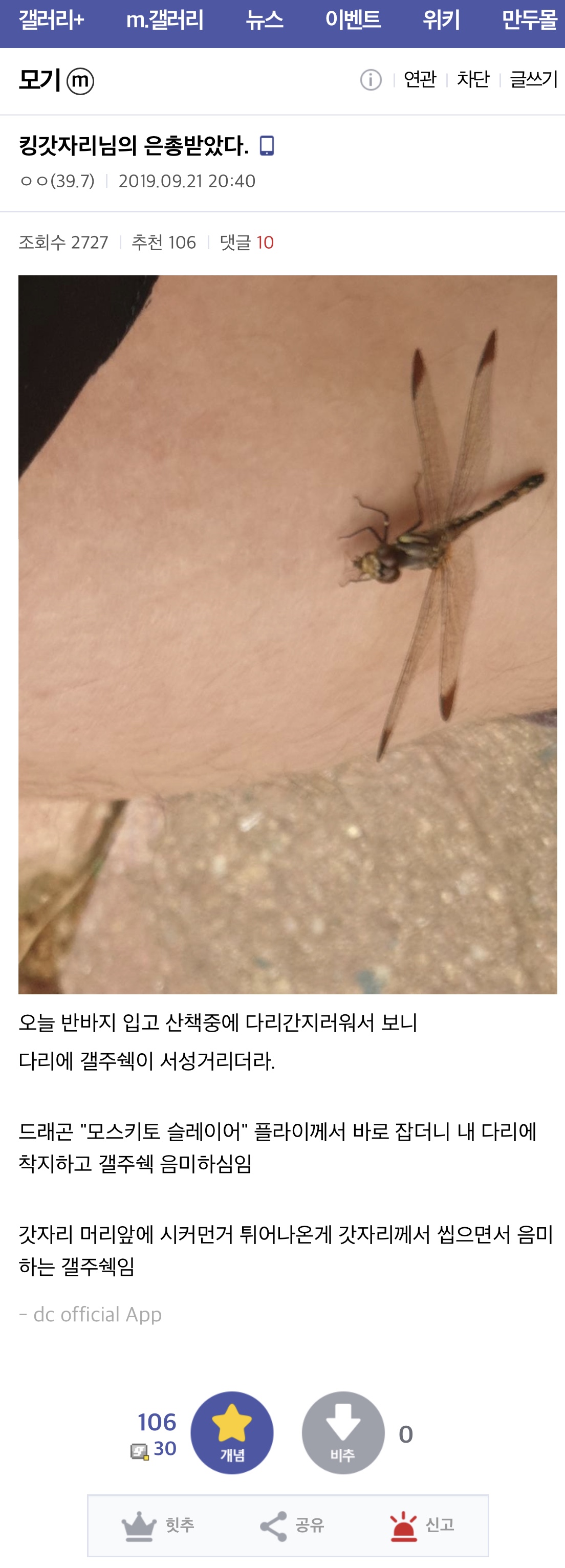 모기 갤러리 회원이 감동을 금치 못했던 이유 . JPG
