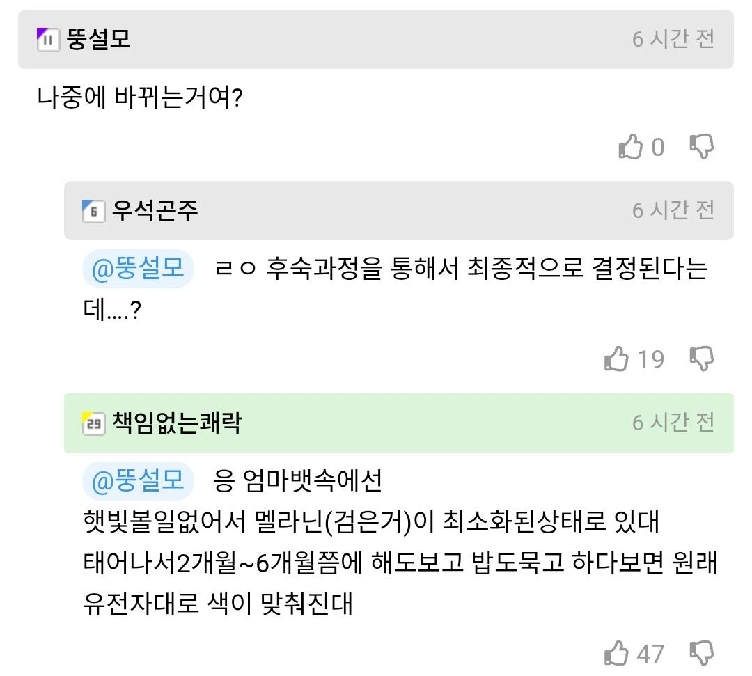 흑인 아기들은 검은 피부로 태어나지 않아요