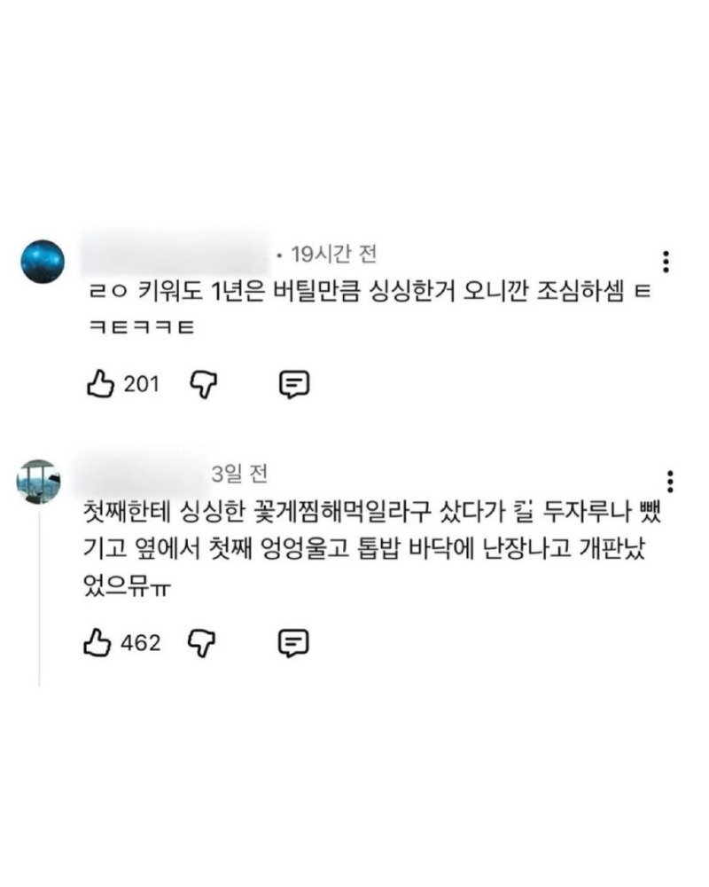 꽃게 사는 사람들의 일관적인 진술