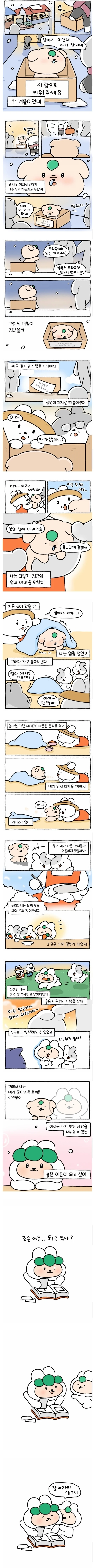 당근마켓 캐릭터의 비밀.jpg