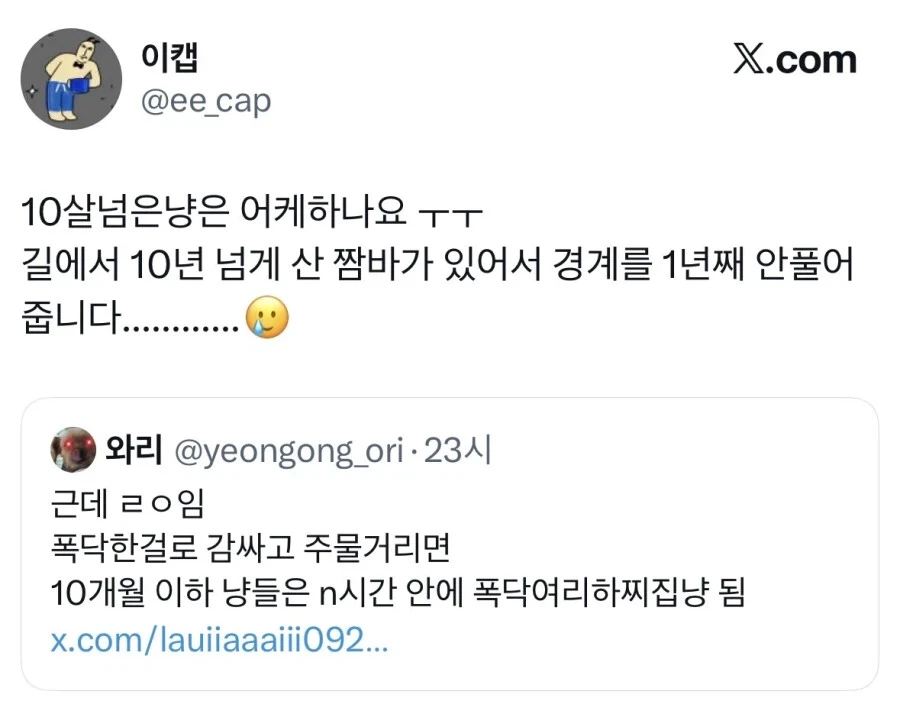 길고양이 입양했는데 경계를 안품.jpg