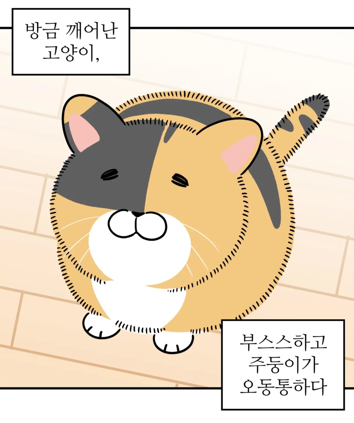 방금 일어난 고양이 자랑하는 만화