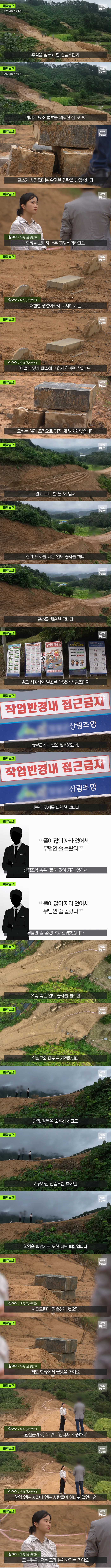 아빠 묘소가 갑자기 사라졌다.jpg