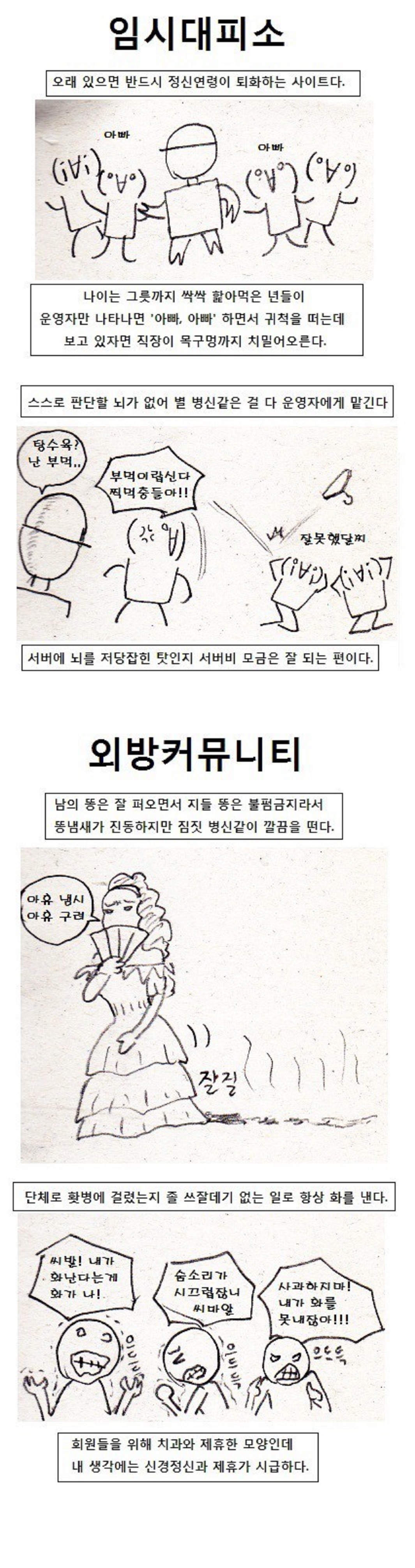 10년 전에 화제였다는 당시 인터넷 대형 커뮤들 모두까기 만화.jpg