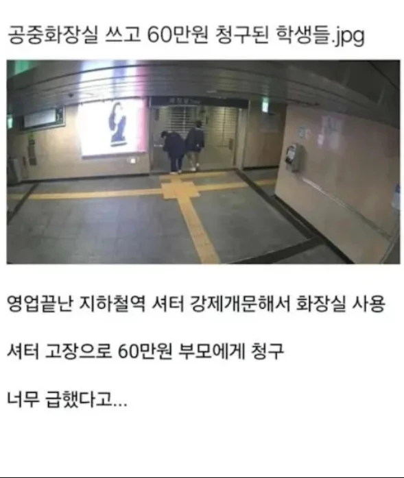 60만원짜리 똥.jpg