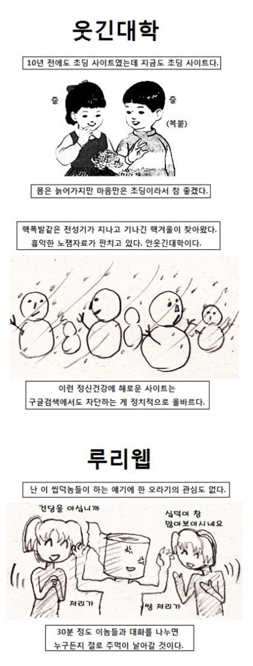 10년 전에 화제였다는 당시 인터넷 대형 커뮤들 모두까기 만화.jpg
