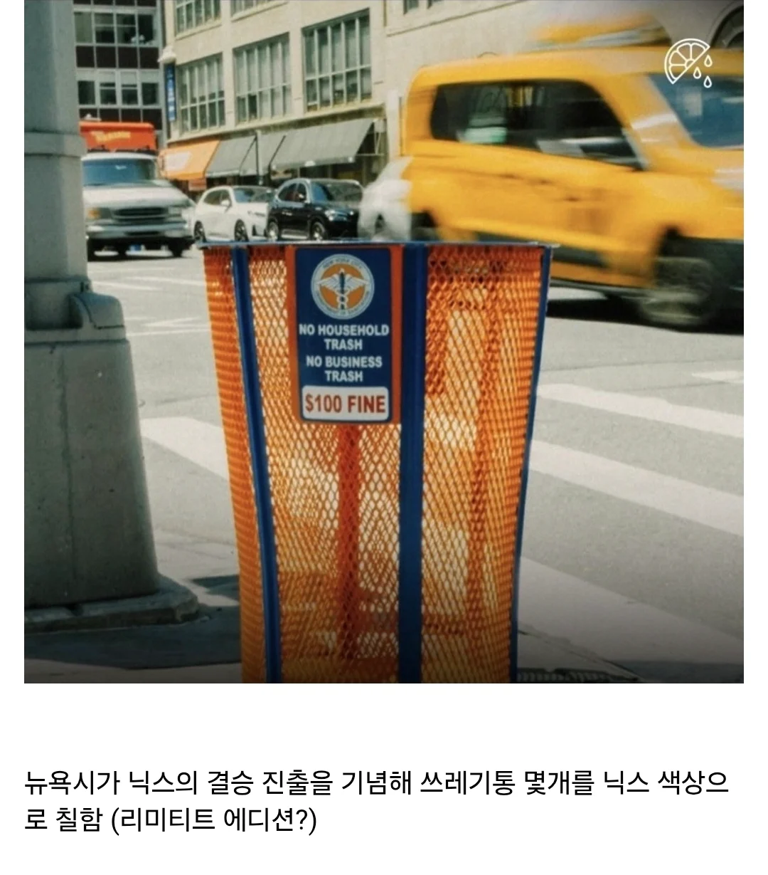 미국에서 쓰레기통 훔친 돼지년의 최후.jpg