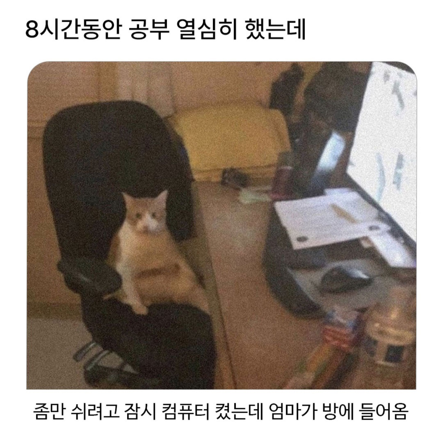 8시간동안 공부 열심히했는데