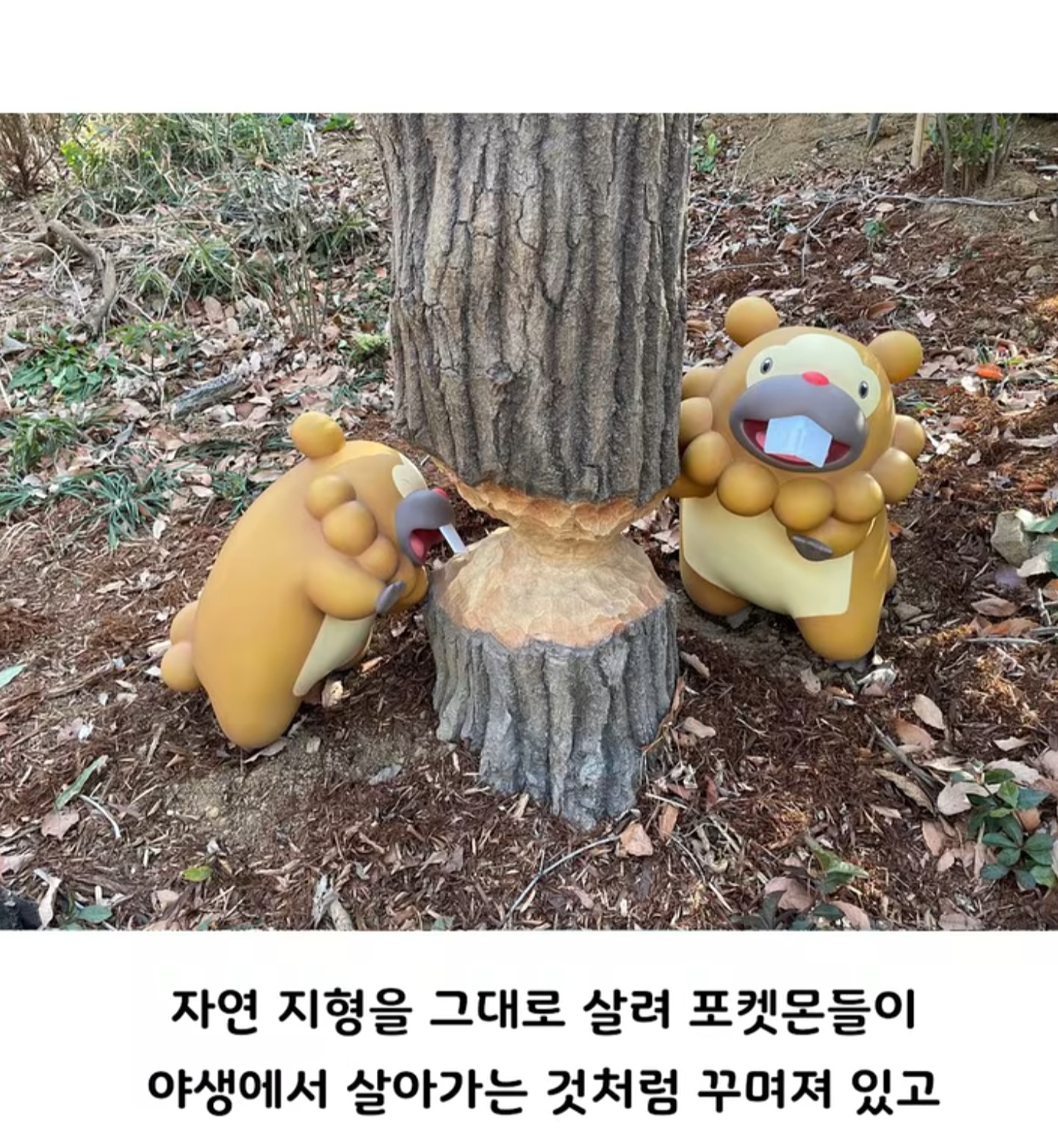 컨셉 확실한 일본 포켓몬 파크