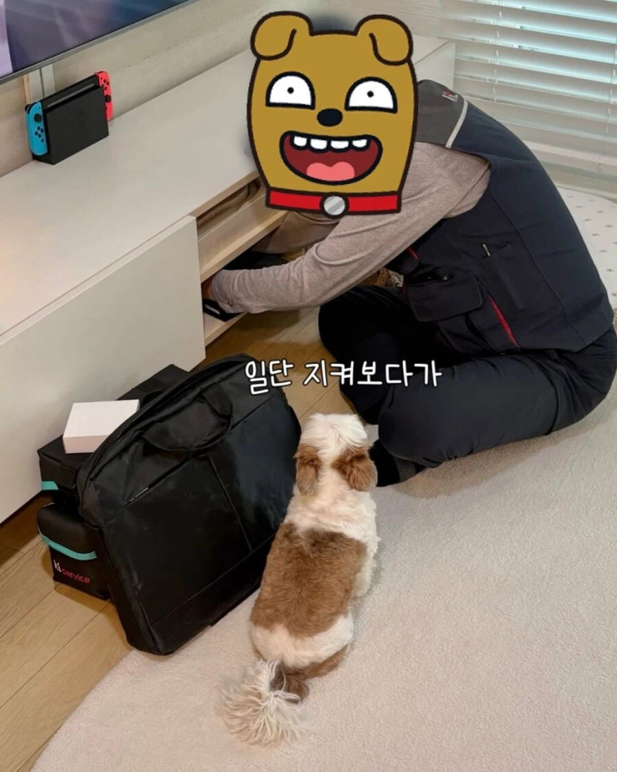 인터넷 기사님이 집에 왔을 때 강아지 반응.jpg