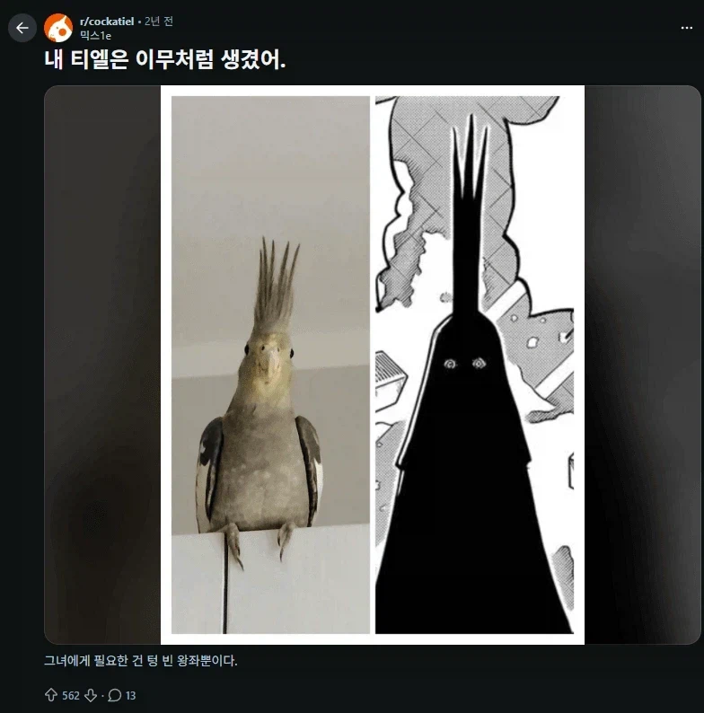 현재 원피스 결말유출이란 얘기가 나오게 된 이유