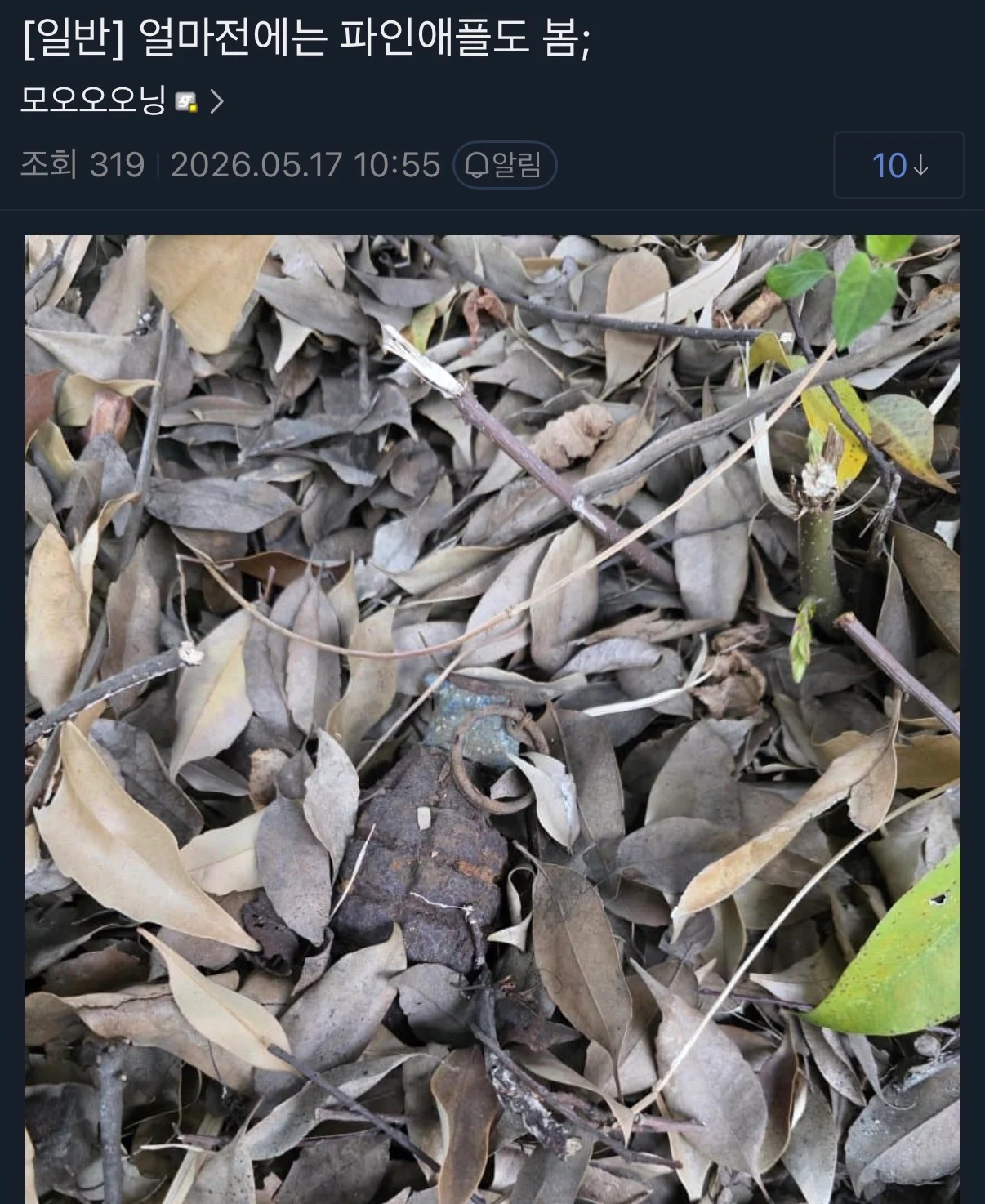 실시간 등산하다 불발탄 주운 군갤럼