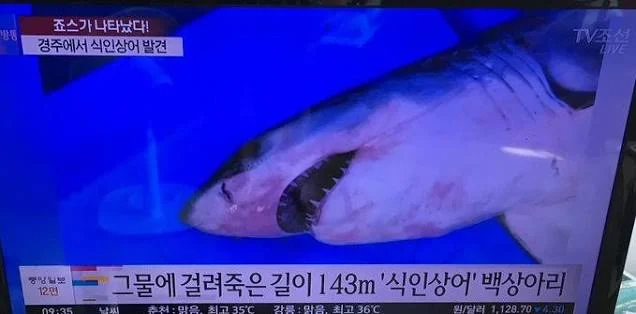 억울하게 이미지 씹창난 동물들.jpg