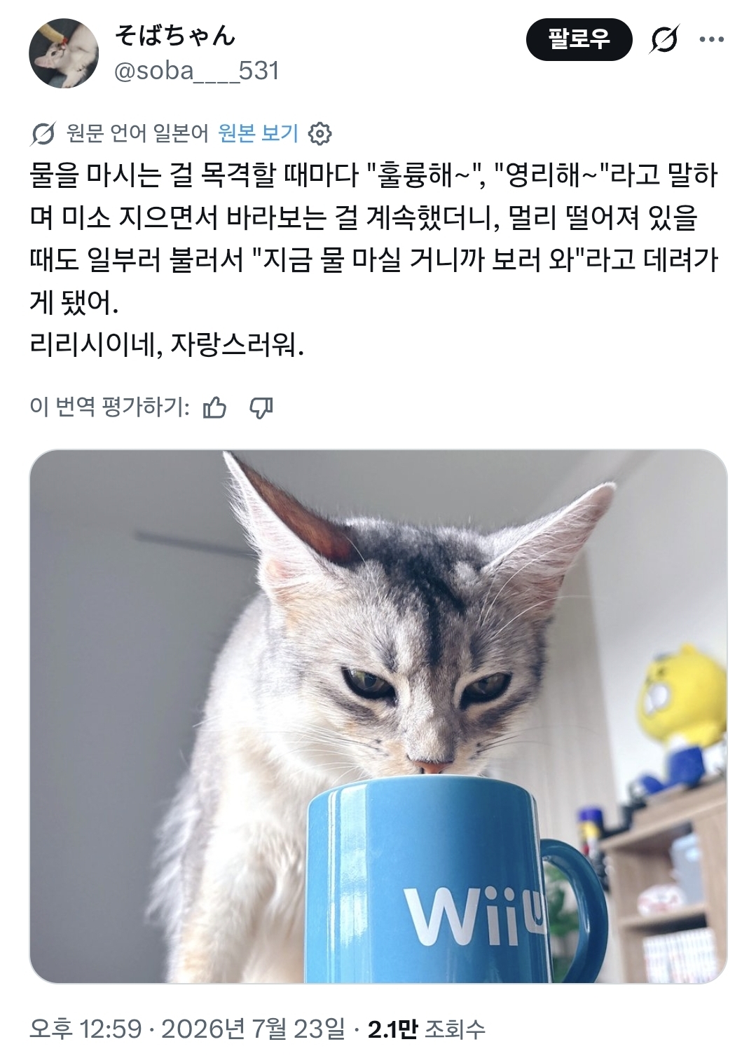 고양이가 물을 마실 때마다 칭찬하면 생기는 일
