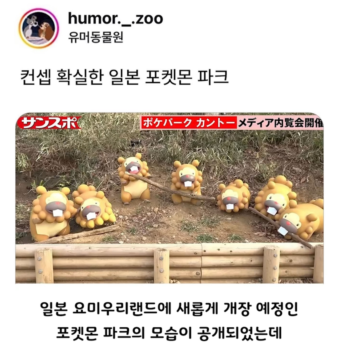 컨셉 확실한 일본 포켓몬 파크