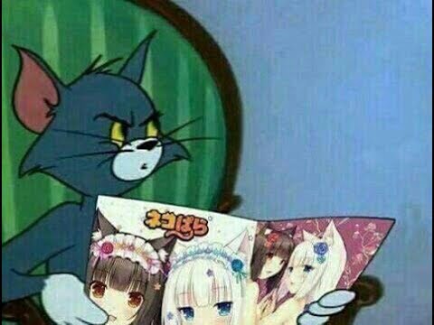 뭔가 수상해보이는 일본의 성교육 교과서.jpg