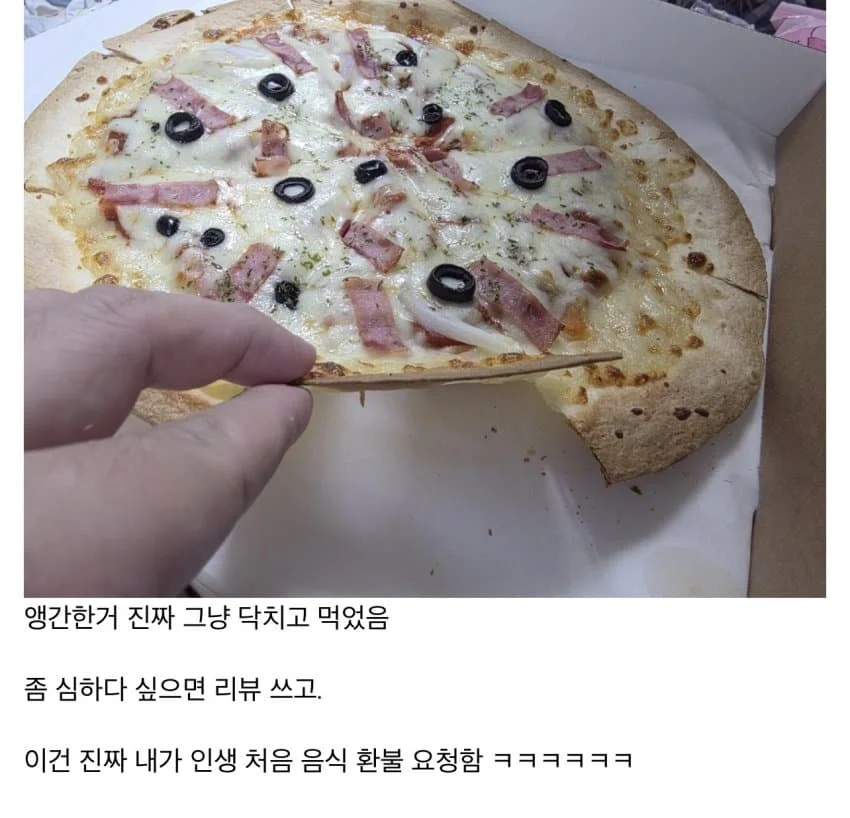 백종원 빽보X 피자 리뷰 근황 ㄷㄷㄷ..jpg