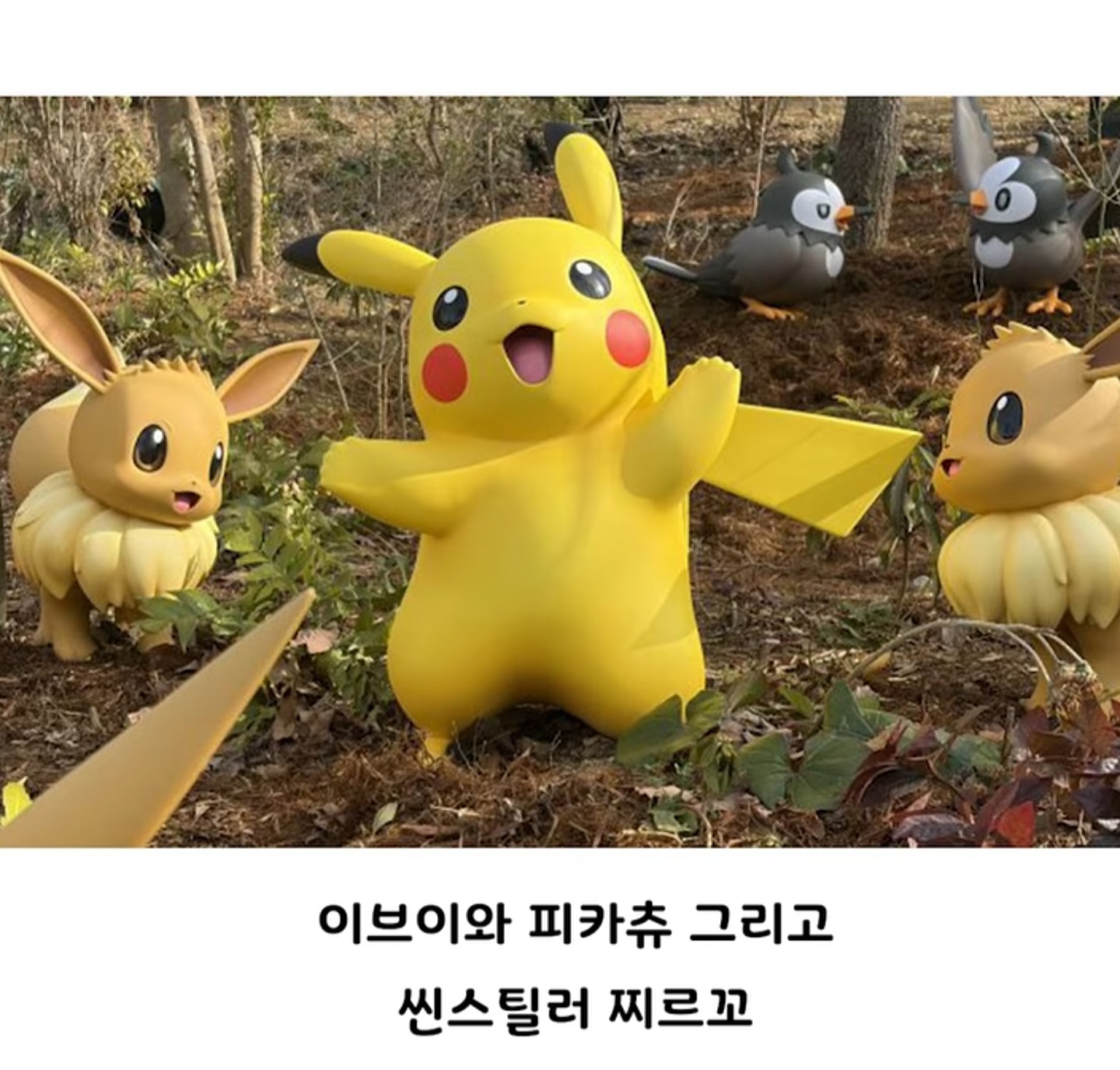 컨셉 확실한 일본 포켓몬 파크